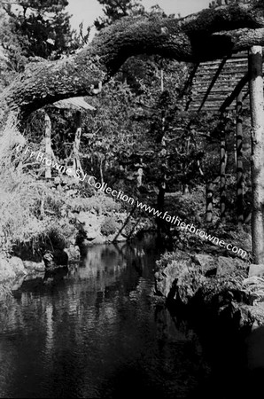 JAPANESE GARDENS WITH VISITORS